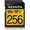 ADATA ASDX256GUII3CL10-C (Main)