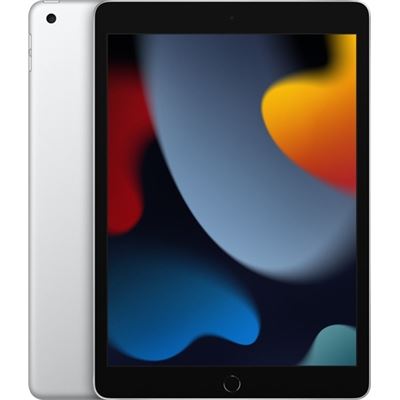 Apple iPad (9th Gen) 10.2in Wi-Fi 64GB - Silver - A13 (MK2L3X/A)