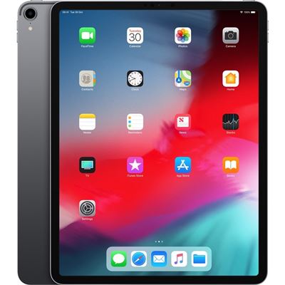 Buy 12.9-inch iPad Pro Wi-Fi 256GB - Space Grey - Apple (IN)