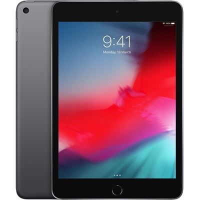 Apple IPAD MINI WI-FI 256GB SPACE GRAY-AUS (MUU32X/A) | Acquire