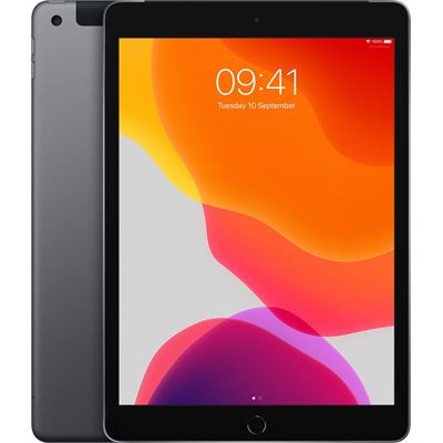Apple iPad (7th Generation) Tablet - 25.9 cm (10.2") - 128 (MW6E2X/A)