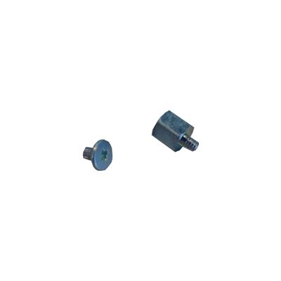 Asus M.2 MOUNTING LUG AND SCREW FOR ASUS/GIGABYTE (M.2 SCREW)