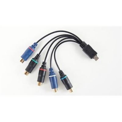 AVerMedia Component Video/Stereo Audio Dongle Cable (064AOTHERBP5)