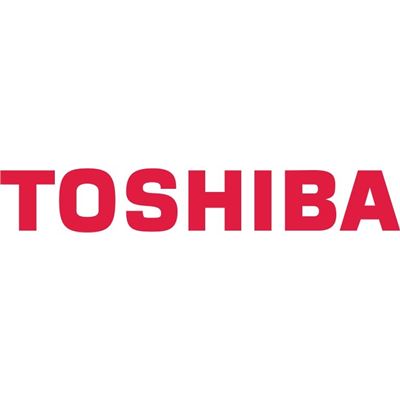 Dynabook Toshiba AC Adapter (45W / 3pin / 19V / 2.37A) (PA5192A-1AC3)