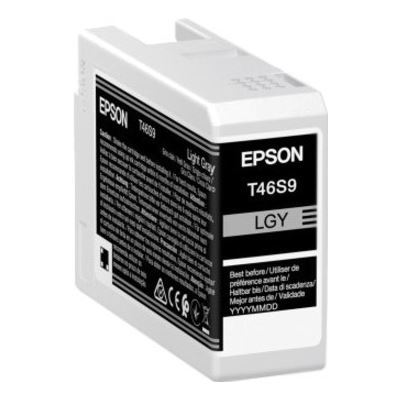 Epson 46S Lgt Grey Ink Cart (C13T46S900)