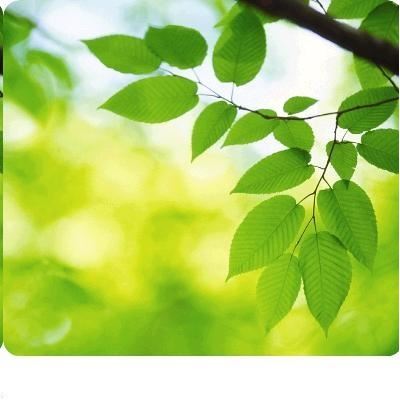 Fellowes Recycled Mouse Pad Optical - Leaves (5903801)