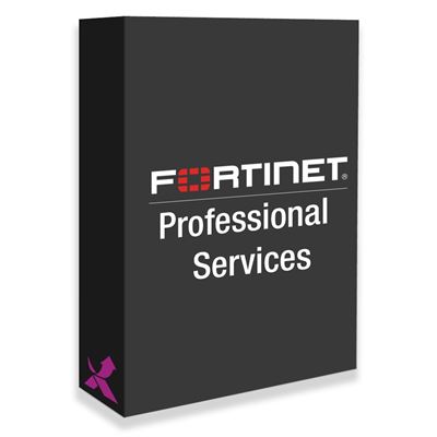 Fortinet Reo Serv Per Hour Charge for Service Delivered (FP-PS001-HR)