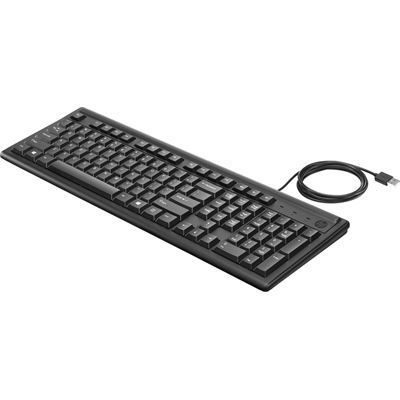 HP Keyboard 100 (2UN30AA)