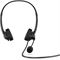 21C2 - 21C2 - HP Stereo 3.5mm Headset G2 Shadow Black Coreset Front Boom Down (Rear facing/Shadow Black)