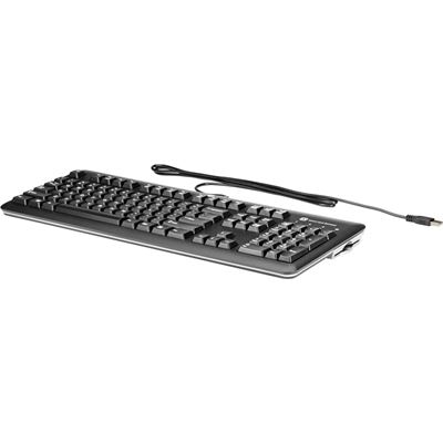 HP USB SmartCard CCID Keyboard (E6D77AA)