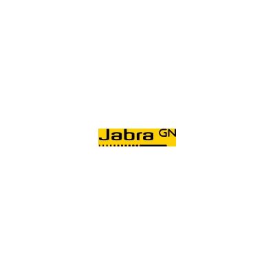 Jabra Evolve2 40 Pouch 10pcs Black (14301-49)