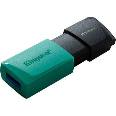 Kingston DTXM 256GB USB Flash Drive 3.2 Gen 1 256GB with (DTXM/256GB)