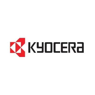 Kyocera KDIMM1GBE - Kyocera DIMM-1GBE Memory (DIMM-1GBE)