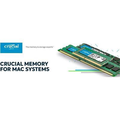 Micron Crucial 16GB DDR4 2400 MT/s (PC4-19200) CL17 DR (CT16G4S24AM)
