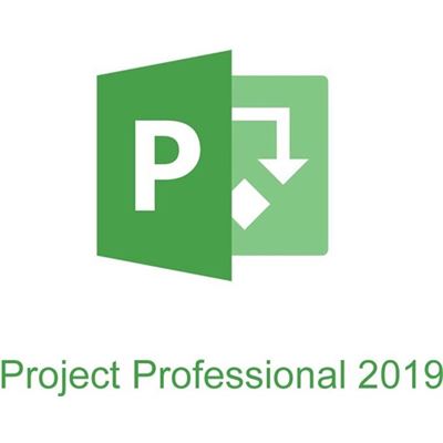Microsoft PROJECT PROFESSIONAL 2019 WIN ALL LANGUAGES (H30-05756)