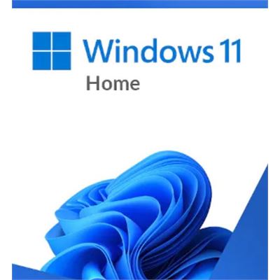 Microsoft WINDOWS 11 HOME FPP 64 BIT ENGLISH USB (HAJ-00090)
