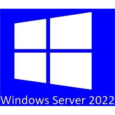 Microsoft WINDOWS SERVER STANDARD 2022 64BIT ENGLISH 1PK (P73-08328)