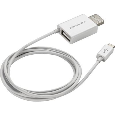 Poly SPARE CABLE ASSY STD-A PLUG TO MICRO USB B WHITE (201885-02)