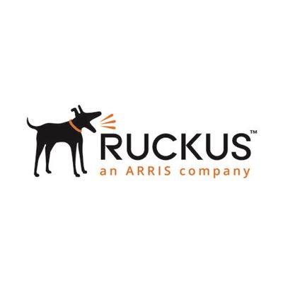 Ruckus Ptr WD Prem Support ZD3K 300 AP Upgr 3 yrs (802-3300-3L00)