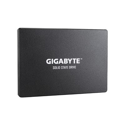 Samsung Gigabyte 120GB SSD (GP-GSTFS31120GNTD)