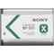 Sony NPBX1