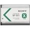 Sony NPBX1 (Main)