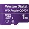 Western Digital WDD100T1P0C (Main)